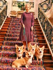 Cena do filme "A Rainha", com Helen Mirren e os quatro welsh corgi