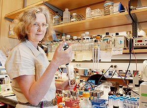 Elizabeth Blackburn, cientista ganhadora do Nobel de Medicina, em seu laboratrio nos EUA