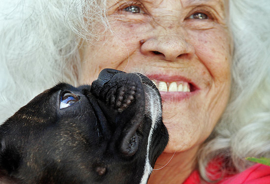 Manoelina Santa Lúcia, 81, como a Boston-Terrier Madá, durante sessão de terapia com animais na associação Recanto da Vovó, em Cotia (SP)