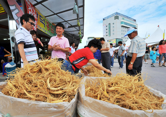 Raízes de ginseng à venda durante festival dedicado à planta na Coreia do Sul