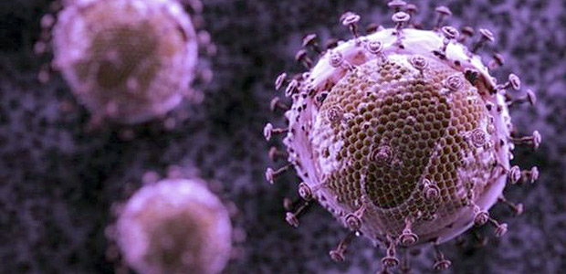 O HIV no tem o DNA comum a todos os seres vivos, e sim o mais prosaico RNA
