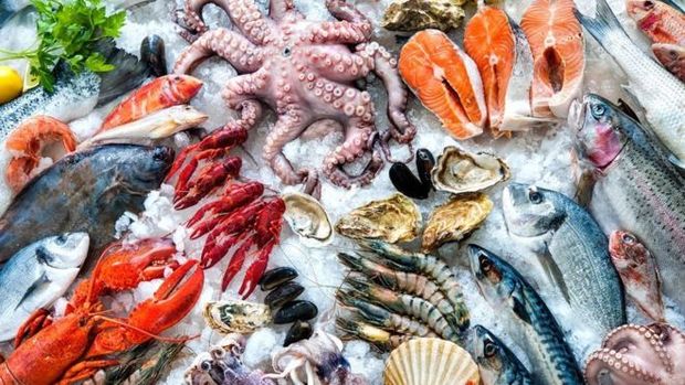 Especialistas recomendam que consumidores fiquem atentos  quantidade de mercrio em frutos do mar e peixes