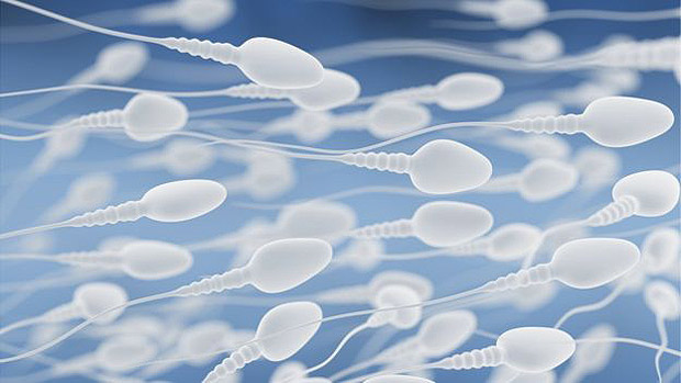 Pesquisadores investigam agora se mudanas induzidas pelo exerccio afetam tambm o potencial do espermatozoide fertilizar o vulo 