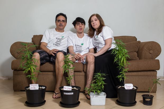 Alexandre, Gabriel, 14, e Fátima Meirelles. Família cultiva planta em casa para tratar epilepsia severa