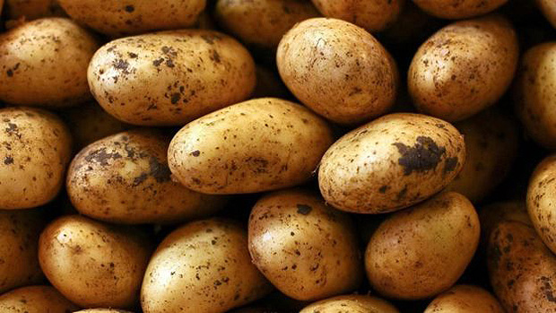 Batatas tm bastante protena e vitaminas 
