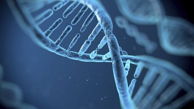 Após decifrar o genoma humano, a ciência conseguiu avançar nas formas de tratamento do câncer