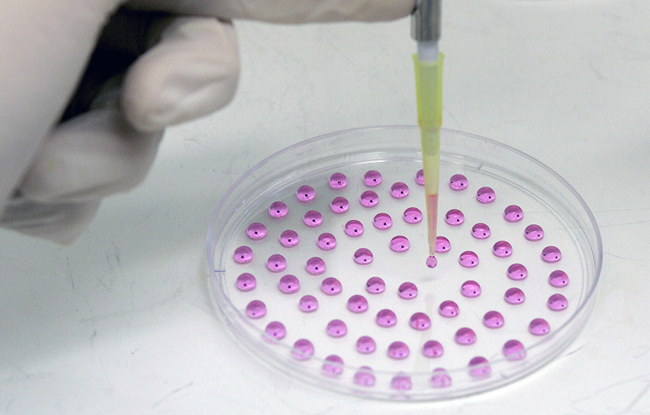 Tcnico manipula clulas-tronco embrionrias em laboratrio do Instituto do Corao, em So Paulo