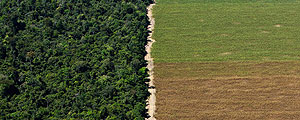 Área desmatada usada para agricultura próximo a Paragominas (PA) – Lalo de Almeida/Folhapress