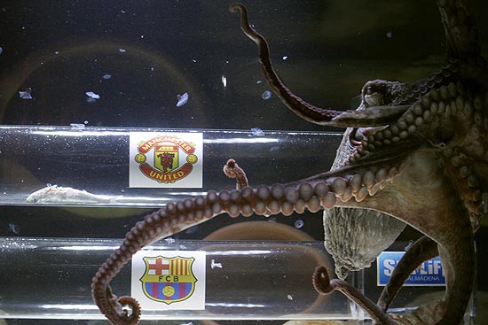 Polvo Iker prefere o cilindo do Manchester United ao invs de escolher o vidro com o smbolo do Barcelona