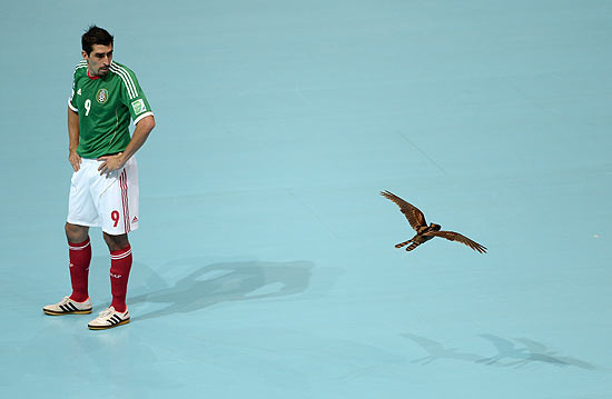Carlos Ramirez observa coruja invadir a arena de futsal durante jogo contra a Itália