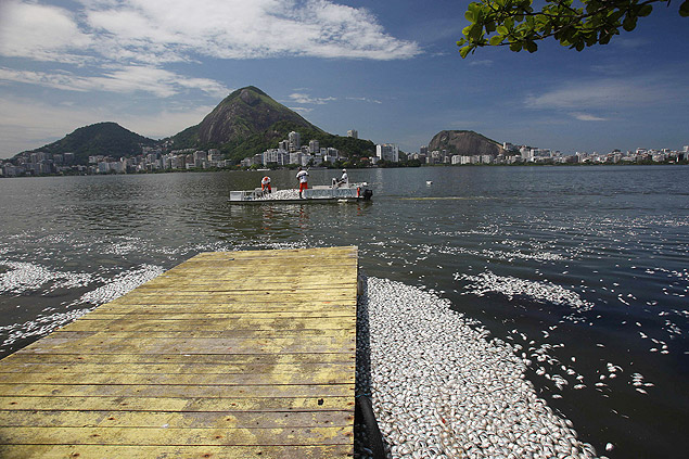 Milhares de peixes mortos so retirados da lagoa Rodrigo de Freitas, na zona sul do Rio.