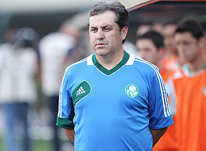 O tcnico Gilson Kleina durante um jogo do Palmeiras