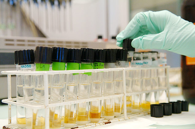 Tcnico de laboratrio prepara amostras de urina para testes antidoping