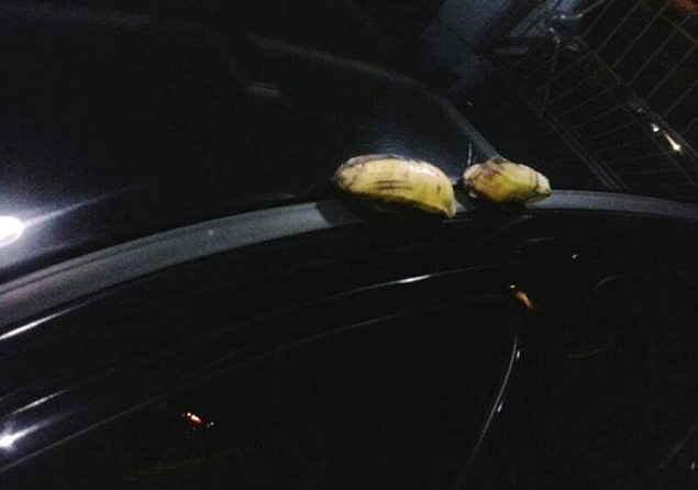 Aps ser chamado de "macaco" em jogo, o rbitro Mrcio Chagas da Silva encontrou bananas em seu carro