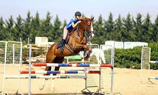 Fischer durante uma prtica com o cavalo Ralph: atleta, de 19 anos, faleceu aps queda em salto - Reproduo/Facebook 