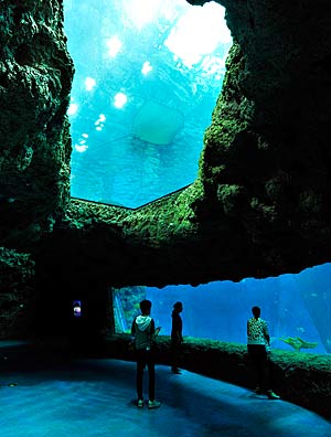 Wanda City, parque que abriga a maior montanha-russa da China e enorme aquário, é a aposta do país para desbancar americanos