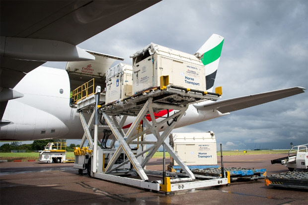 Boeing 777-F transporta cavalos de Londres para a Rio-2016