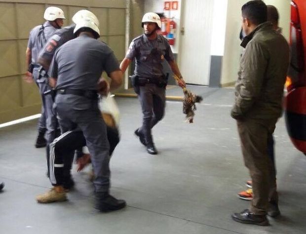 Policiais Militares detm torcedor so-paulino que matou uma galinha em frente ao nibus do Corinthians. O ato era uma provocao  Gavies da Fiel, uniformizada alvinegra, que  chamada de "galinha preta" pela torcida tricolor.