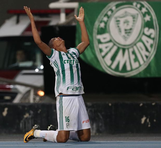 Deyverson comemora gol da vitória do Palmeiras sobre o Botafogo, pela 18ª rodada do Brasileiro, no Engenhão