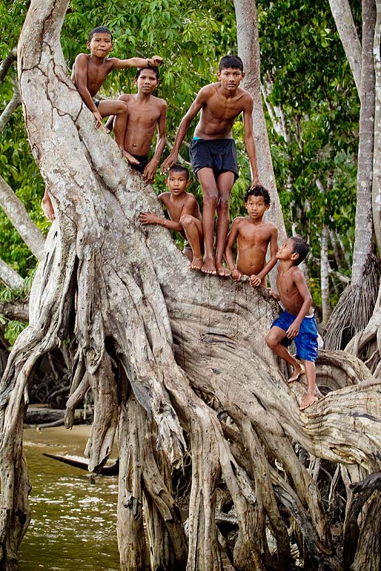 Meninos do povo palicur brincam de "flechar" (mergulhar) no Oiapoque