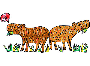 Pin de Mundo Animal em A - Z  Capivara desenho, Capivara, Mamíferos