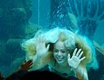 'Sereia' nada em aquário de SP (Divulgação)