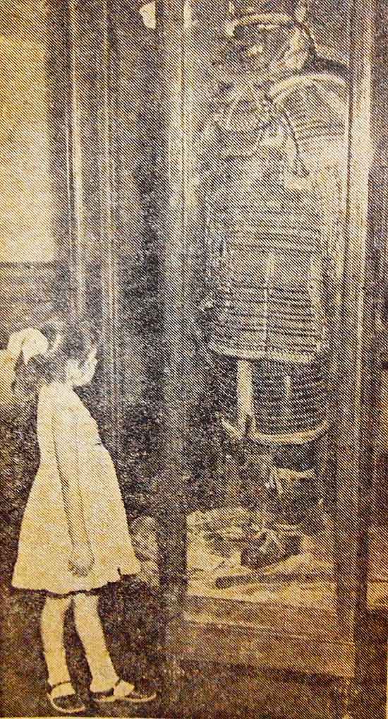 Menina v armadura no Museu Paulista em 1965