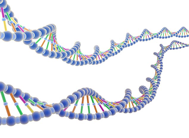 A molcula de DNA foi descoberta h 60 anos e mudou a cincia 