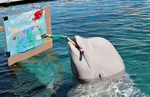 A Beluga paints a picture with a special paintbrush at the Hakkeijima Sea Paradise aquarium in Yokohama, suburban Tokyo on September 17, 2013. The aquarium will show the Beluga's new attraction from the end of this month. AFP PHOTO / Yoshikazu TSUNO ORG XMIT: TOK2158