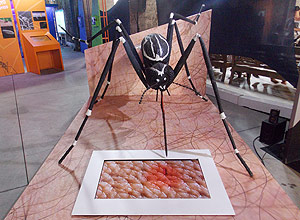 Exposio sobre a dengue comea em SP; veja como proteger as crianas