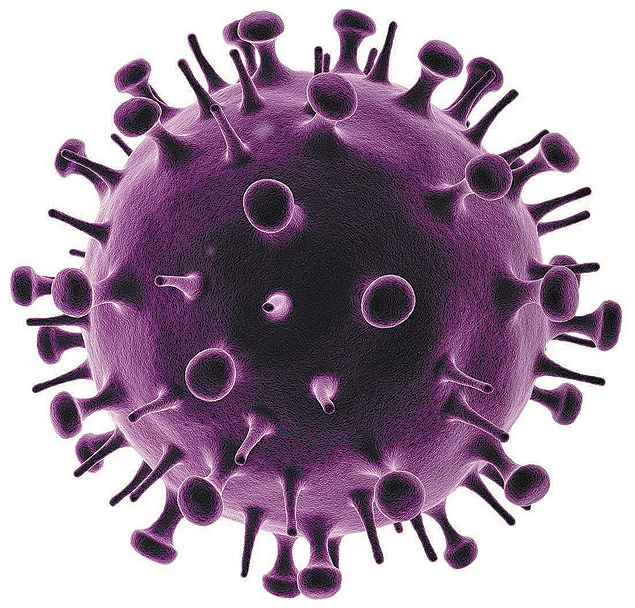 Representao grfica do vrus H1N1