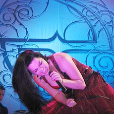 Amy Lee esteve no Brasil no ms passado, quando tocou para fs do Evanescence