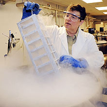 Pesquisador manipula amostras de DNA nos EUA; nanopartículas podem danificá-lo, diz estudo