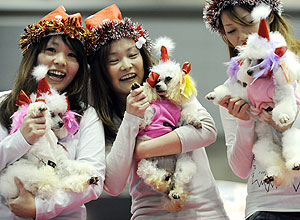 Donos carregam seus poodles durante a "Tokyo Dogs Collection", evento em Tquio, Japo