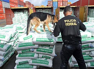 Policial usa cão farejador para inspecionar carga no porto de Suape, em Pernambuco; PF apreendeu 530 kg de cocaína pura