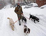 Homem passeia com cães em Bostom (Dominick Reuter/Reuters) Homem passeia com cães em Bostom (Dominick Reuter/Reuters)