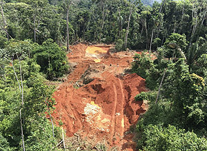El Gobierno de Mato Grosso ocultó datos sobre la explotación ilegal de madera