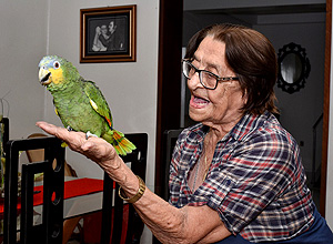 O papagaio Leozinho na casa de sua dona, Izaura, em Cajazeiras, no sertão da Paraíba – Arquivo Pessoal O papagaio Leozinho na casa de sua dona, Izaura, em Cajazeiras, no sertão da Paraíba – Arquivo Pessoal