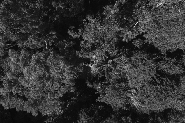 Garimpo clandestino na Floresta Estadual do Paru, no Par