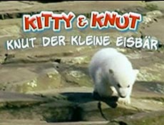 Ursinho Knut ganha trilha sonora em alemo 