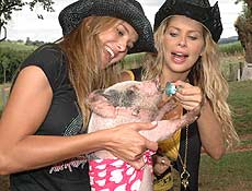 Karina Bacchi e Ticiane Pinheiro batizam porco de "Pink" e do at chupeta para o animal