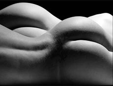 Imagem da exposio "Nude Works"