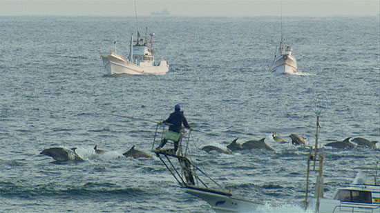 Documentrio vencedor do Oscar mostra massacre de golfinhos em vila no Japo
