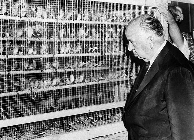 O cineasta Alfred Hitchcock observa os pássaros usados em seu filme "Os Pássaros", durante o Festival Internacional de Cinema em Cannes de 1963
