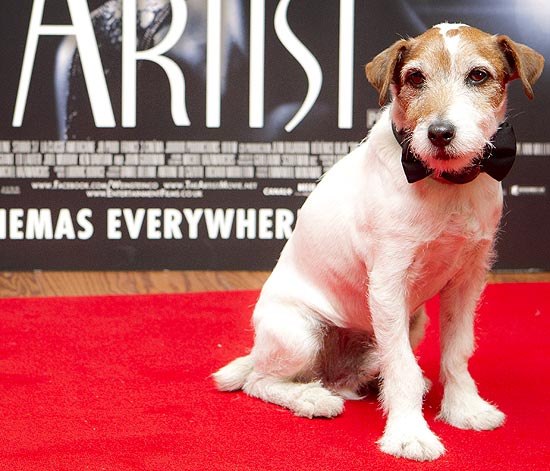 Cachorro Uggie durante pré-estreia do filme "O Artista"