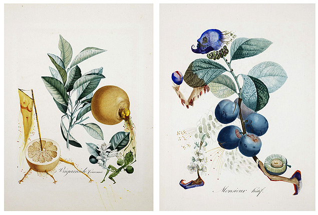Imagens de duas das 14 aquarelas pintadas por Salvador Dal (1904-1981) com o tema de frutas humanizadas