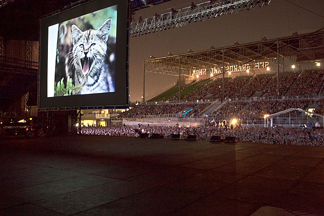 Estdio em Minneapolis cerca de 10 mil pessoas reunidas no ltimo Cat Video Festival, evento criado por museu de arte