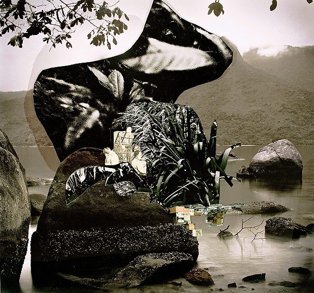 Obra 'Tababuia', de 2009, feita com colagens, pelo fotgrafo brasileiro Caio Reisewitz