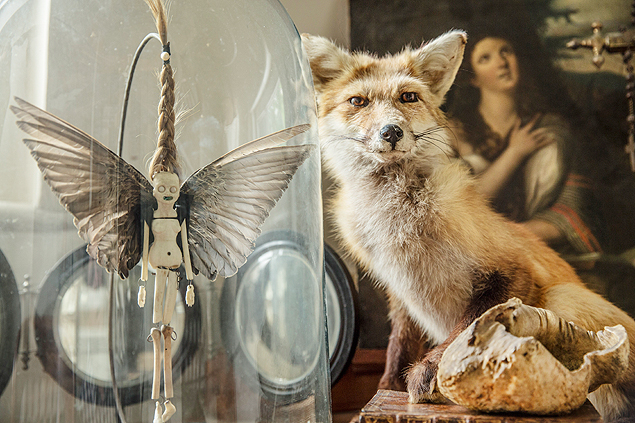 Uma raposa empalhada e um ornamento feito com cabelo humano, no Morbid Anatomy Museum