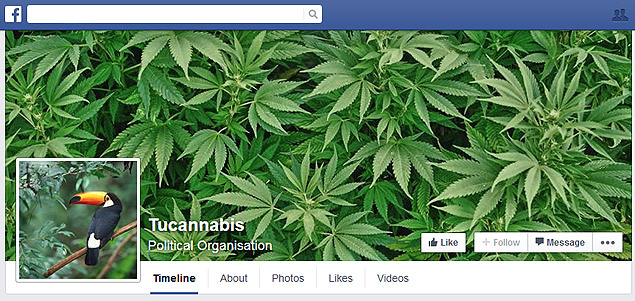 Tucannabis - ucano cannabis canabis // https://www.facebook.com/tucanhamo?fref=ts